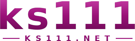 ks111 logo